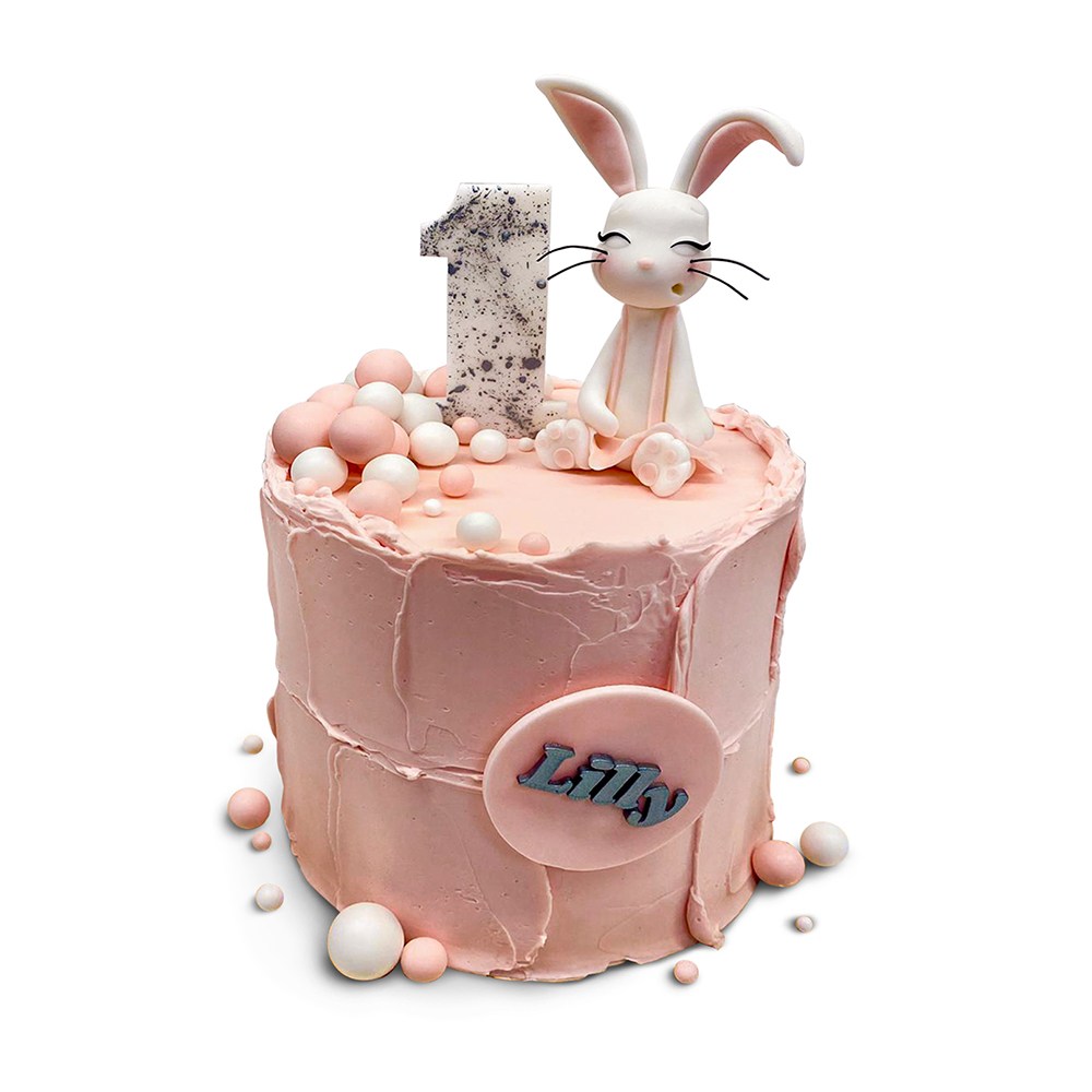 Dort s králíčkem Ollies